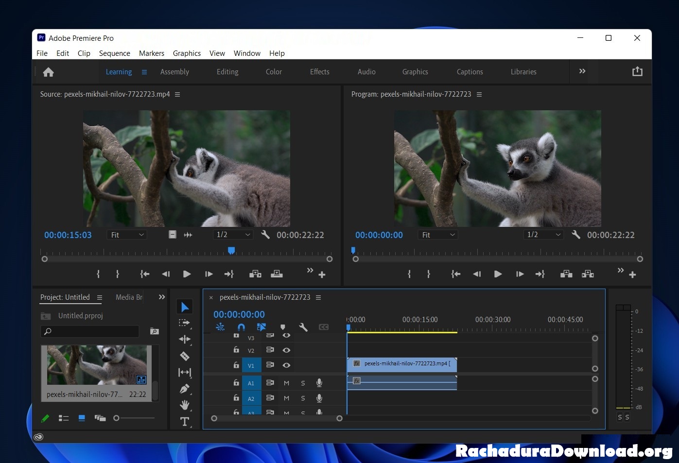 Adobe Premiere Pro CC Rachadura